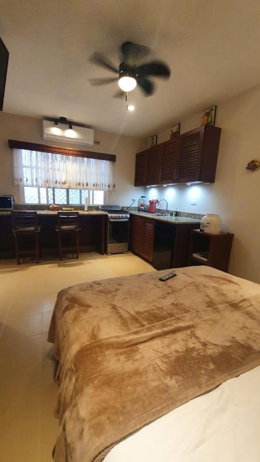 Coralito Malecon Luxury Studio Isla Mujeres Eksteriør billede